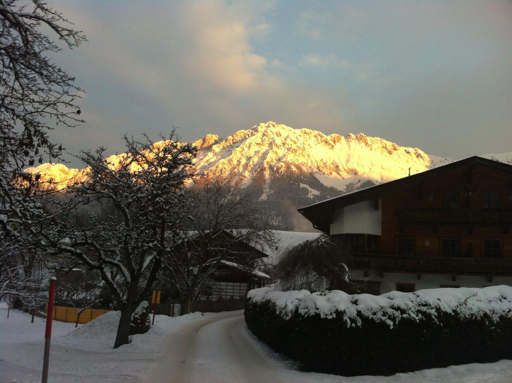 Appartementhaus Zum Schneider Scheffau am Wilden Kaiser Exteriör bild